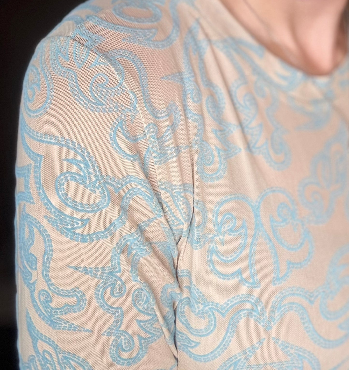 Lulu Camel & Light Blue Bootstitch Embroidered Mesh Long Sleeve Top | Western Cowgirl Rodeo Blouse